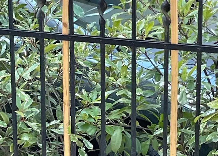 Cozy Parc Des Contades *